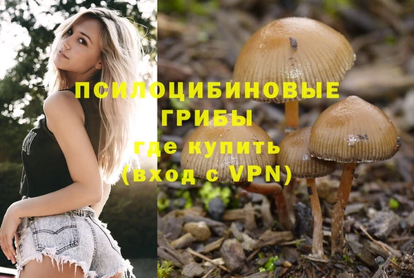 spice Алексеевка