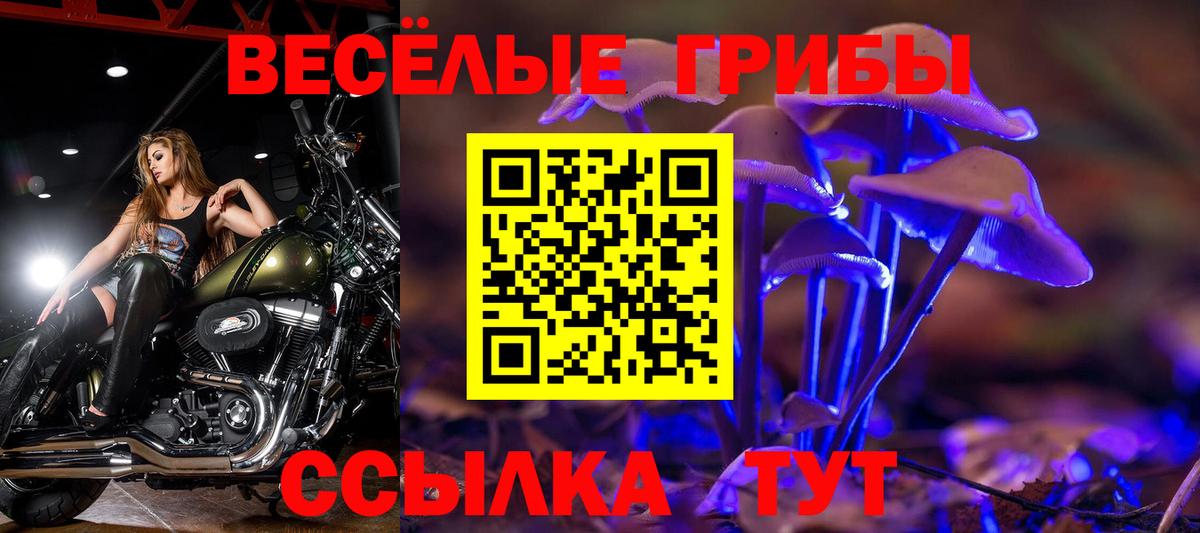 Псилоцибиновые грибы Magic Shrooms Большой Камень