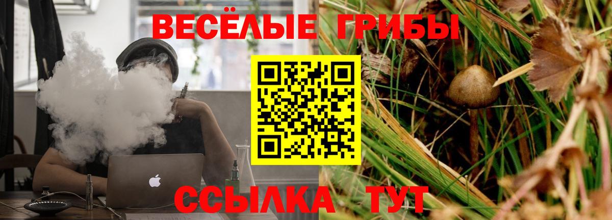 Большой Камень  Псилоцибиновые грибы GOLDEN TEACHER  Вход с VPN 