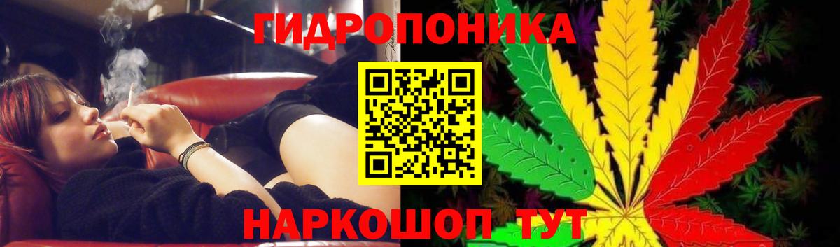 Шишки марихуана OG Kush Большой Камень